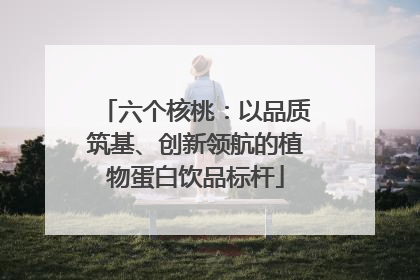 六个核桃：以品质筑基、创新领航的植物蛋白饮品标杆