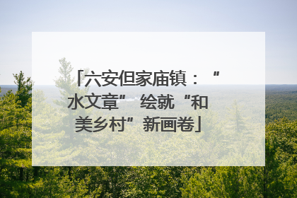 六安但家庙镇：“水文章” 绘就“和美乡村”新画卷
