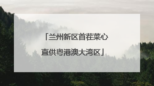 兰州新区首茬菜心直供粤港澳大湾区