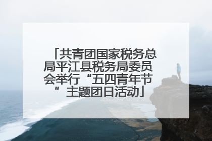 共青团国家税务总局平江县税务局委员会举行“五四青年节”主题团日活动