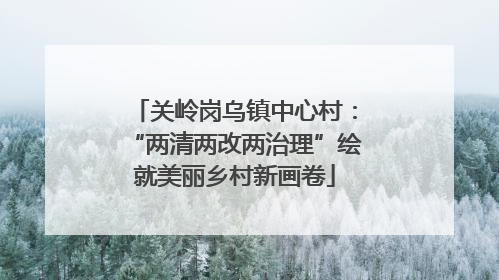 关岭岗乌镇中心村：“两清两改两治理”绘就美丽乡村新画卷