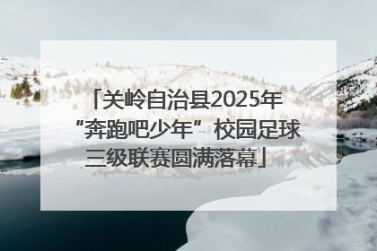 关岭自治县2025年“奔跑吧少年”校园足球三级联赛圆满落幕