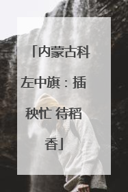 内蒙古科左中旗：插秧忙 待稻香