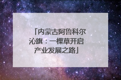 内蒙古阿鲁科尔沁旗：一棵草开启产业发展之路
