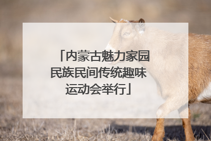 内蒙古魅力家园民族民间传统趣味运动会举行