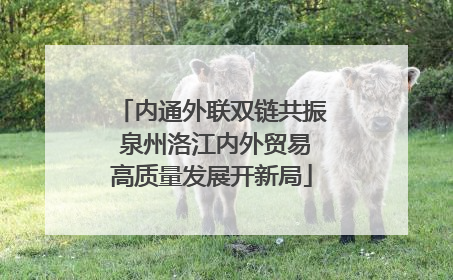 内通外联双链共振 泉州洛江内外贸易高质量发展开新局