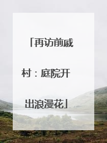 再访前戚村：庭院开出浪漫花