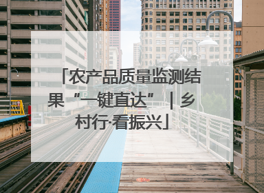 农产品质量监测结果“一键直达”｜乡村行·看振兴