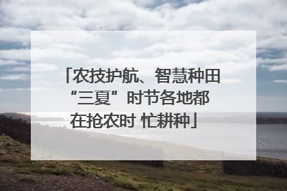 农技护航、智慧种田 “三夏”时节各地都在抢农时 忙耕种