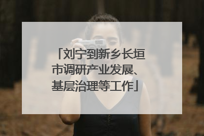 刘宁到新乡长垣市调研产业发展、基层治理等工作