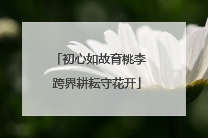 初心如故育桃李 跨界耕耘守花开