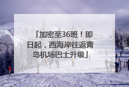 加密至36班！即日起，西海岸往返青岛机场巴士升级