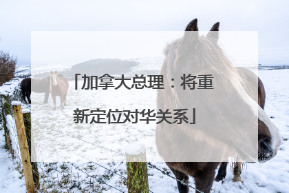 加拿大总理：将重新定位对华关系