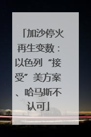 加沙停火再生变数：以色列“接受”美方案、哈马斯不认可