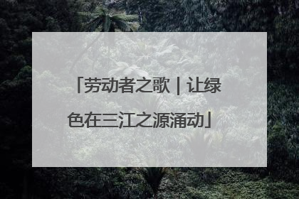 劳动者之歌｜让绿色在三江之源涌动