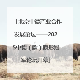 北京中德产业合作发展论坛——2025中德（欧）隐形冠军论坛开幕