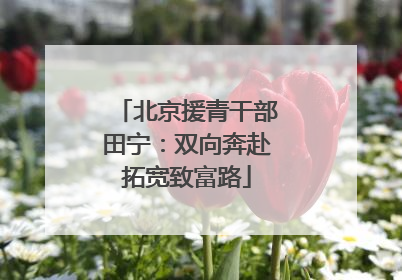 北京援青干部田宁：双向奔赴拓宽致富路