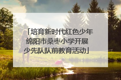 培育新时代红色少年 绵阳市桑枣小学开展少先队队前教育活动