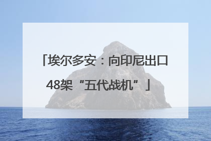 埃尔多安：向印尼出口48架“五代战机”