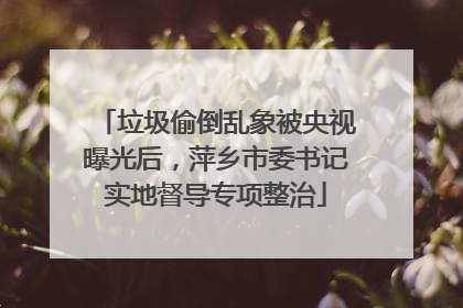 垃圾偷倒乱象被央视曝光后，萍乡市委书记实地督导专项整治