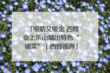 吸睛又吸金 西博会上乐山端出特色“硬菜”｜西博视界