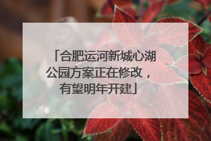 合肥运河新城心湖公园方案正在修改，有望明年开建