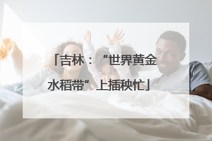 吉林：“世界黄金水稻带”上插秧忙