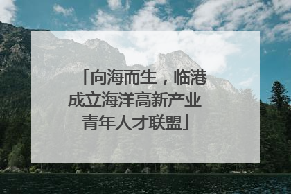 向海而生，临港成立海洋高新产业青年人才联盟