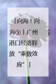 向海！向海③丨广州港口经济释放“乘数效应”