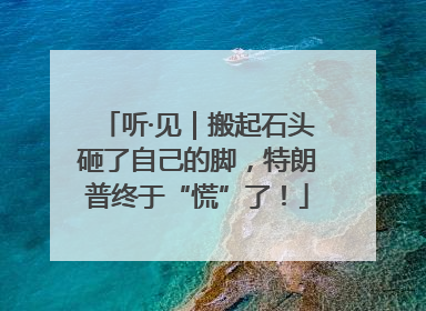 听·见｜搬起石头砸了自己的脚，特朗普终于“慌”了！