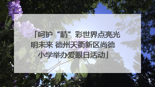 呵护“睛”彩世界点亮光明未来 德州天衢新区尚德小学举办爱眼日活动