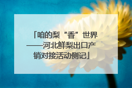 咱的梨“香”世界——河北鲜梨出口产销对接活动侧记