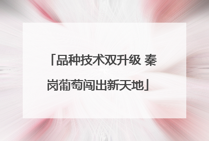 品种技术双升级 秦岗葡萄闯出新天地