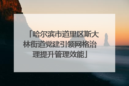 哈尔滨市道里区斯大林街道党建引领网格治理提升管理效能