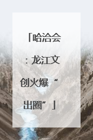 哈洽会：龙江文创火爆“出圈”