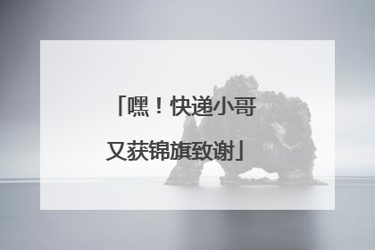 嘿！快递小哥又获锦旗致谢