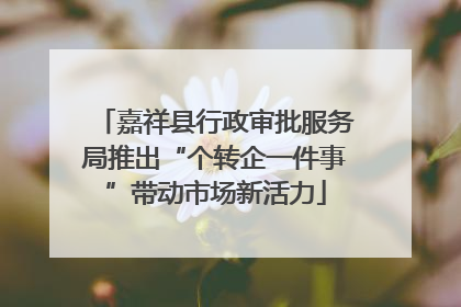 嘉祥县行政审批服务局推出“个转企一件事”带动市场新活力