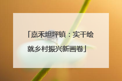 嘉禾坦坪镇：实干绘就乡村振兴新画卷