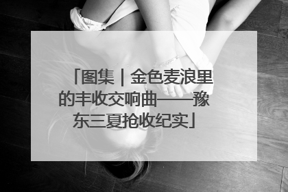 图集｜金色麦浪里的丰收交响曲——豫东三夏抢收纪实