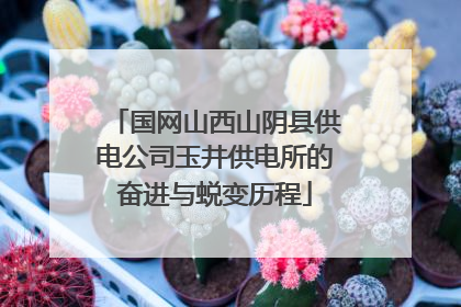国网山西山阴县供电公司玉井供电所的奋进与蜕变历程