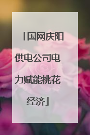 国网庆阳供电公司电力赋能桃花经济