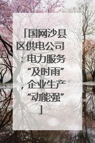 国网沙县区供电公司：电力服务“及时雨”，企业生产“动能强”