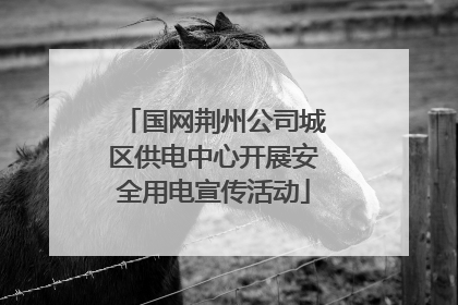 国网荆州公司城区供电中心开展安全用电宣传活动