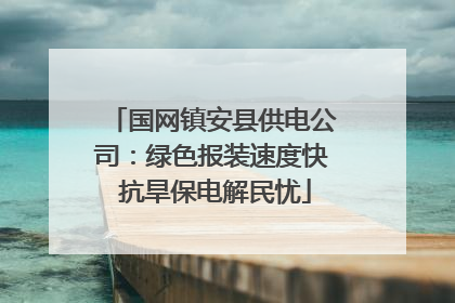 国网镇安县供电公司：绿色报装速度快 抗旱保电解民忧