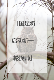 国足将启动新一轮换帅