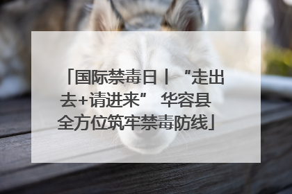 国际禁毒日丨“走出去+请进来” 华容县全方位筑牢禁毒防线