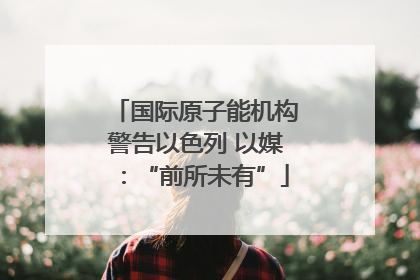 国际原子能机构警告以色列 以媒：“前所未有”