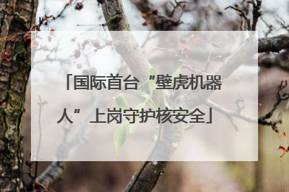 国际首台“壁虎机器人”上岗守护核安全