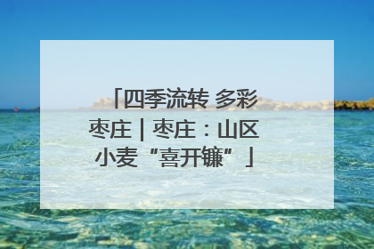 四季流转 多彩枣庄｜枣庄：山区小麦“喜开镰”