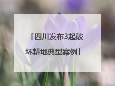 四川发布3起破坏耕地典型案例